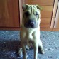 Nala !!